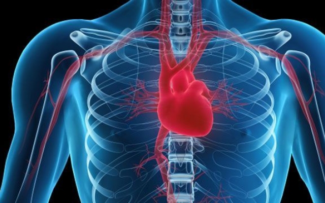 Szívméret hipertóniában